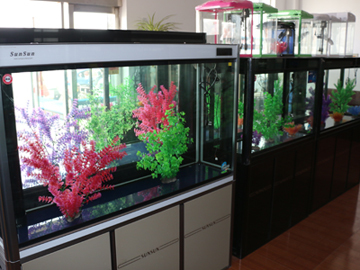 上海市黃浦區江南水族館