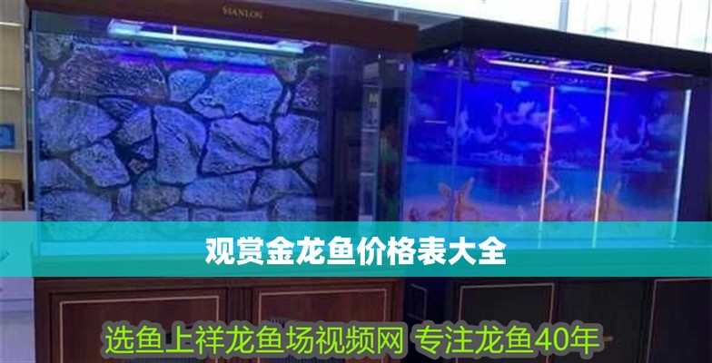 南通紅龍魚價(jià)格2688貴嗎？