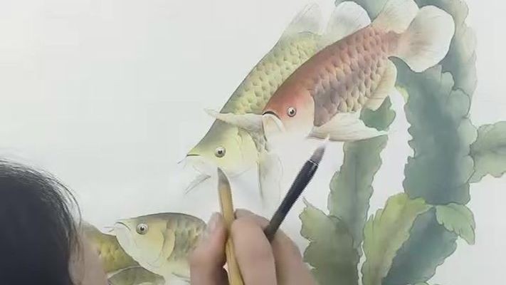 贛州市章貢區和順水族館（贛州市章貢區和順水族館地址）