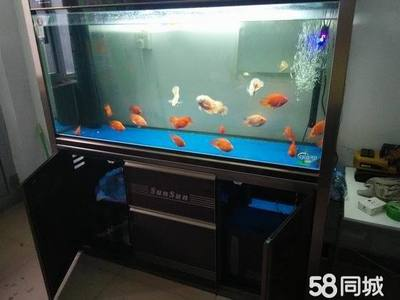 二手魚缸回收