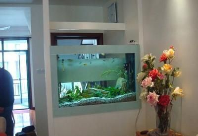 金龍魚孵化受精卵采用什么孵化方式