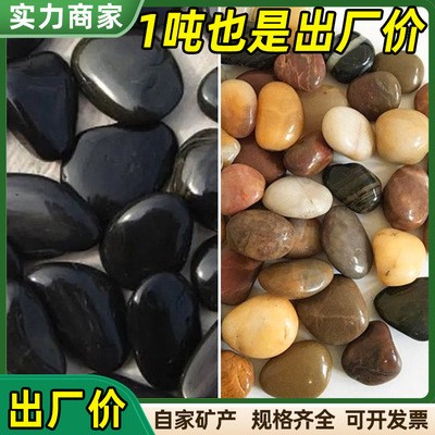 雨化石圖片及價(jià)格