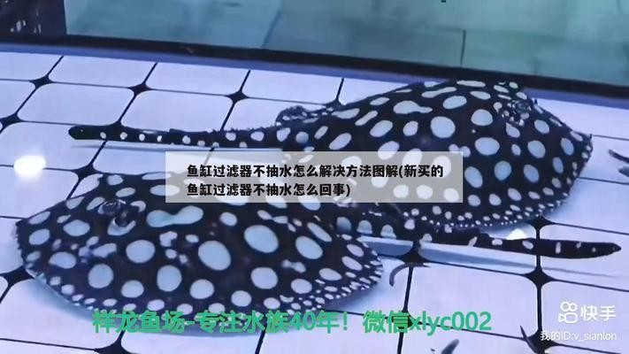 川沙哪里有賣魚缸的市場(chǎng)地址（川沙哪里有賣魚缸的市場(chǎng)地址啊）