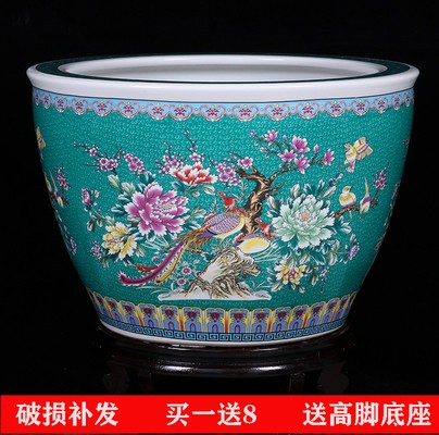 武城哪里有賣魚缸的地方呀圖片及價格（武城哪里有賣魚缸的地方呀圖片及價格表）