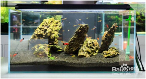 魚缸漏水帶水怎么補水（魚缸漏水帶水怎么補水視頻）