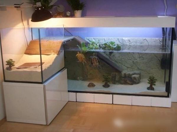大冶市樂彩水族館（大冶市樂彩水族館電話）