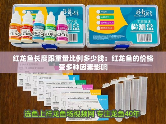 錫林郭勒盟紅龍魚價格2688貴嗎？