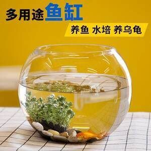魚缸里擺什么裝飾品好（魚缸里擺什么裝飾品好看）
