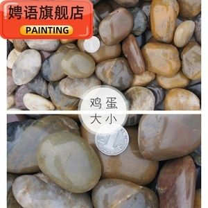 大魚缸改造龜缸好嗎：大魚缸改造龜缸可行嗎？