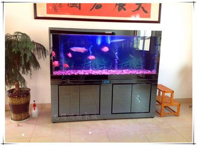 搬家魚缸不帶走好不好：搬家時魚缸不帶走怎么辦