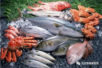 魟魚飲食結構調整方法：成年魟魚日常飲食指南，[需手動填充]魚適應新環境喂食策略