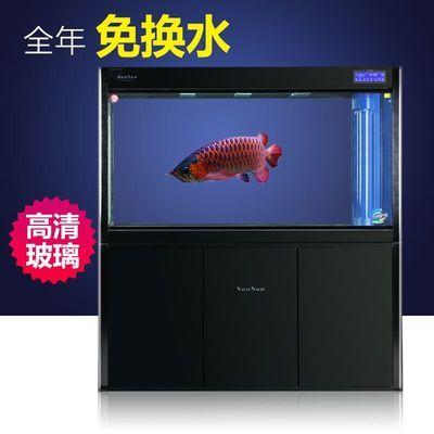 森森602b和魚缸同高：森森602b可以和魚缸同高嗎？