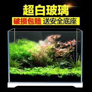 北方魚缸水草怎么養殖的：北方魚缸水草養殖方法