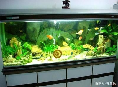 大型魚缸魚生病怎么處理好：大型魚缸中魚生病的治療誤區在治療魚病時一些常見的誤區
