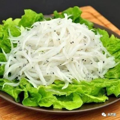 四大名龍魚