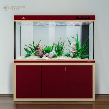 魚缸里放幾條黑魚好不好（魚缸里放幾條黑魚好不好呢）