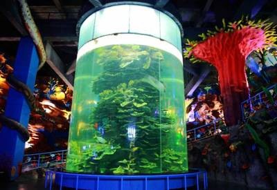 天王水族魚缸怎么樣養蝦（天王水族魚缸怎么樣養蝦呢）