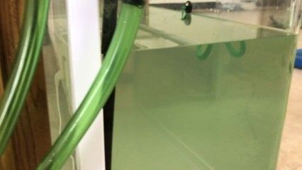 森森過濾桶質量怎么樣：森森過濾桶怎么樣