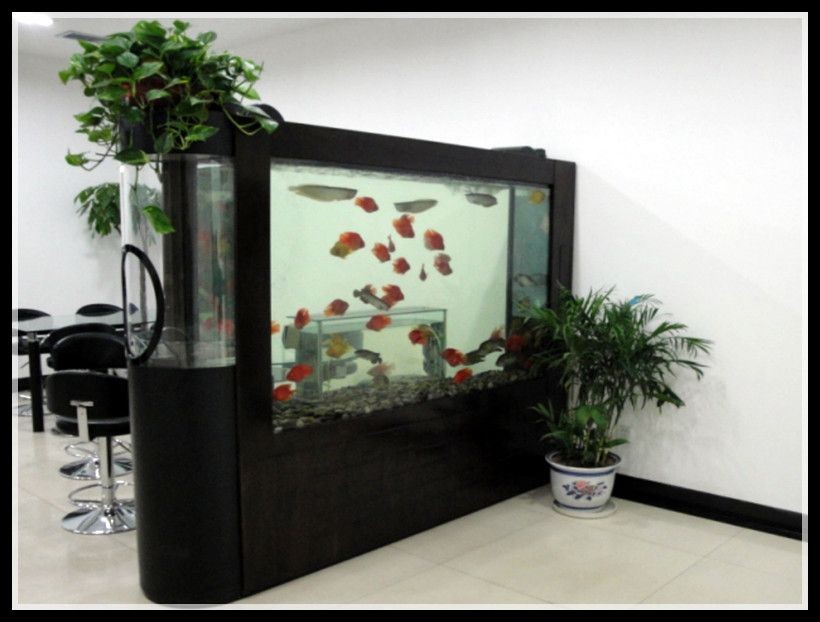 大型魚缸設(shè)計(jì),大型魚缸安裝：智能家居與魚缸的結(jié)合