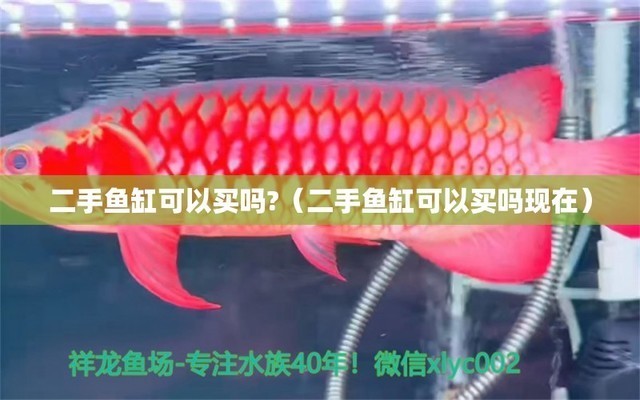 東營區東城海洋生態魚缸展廳（東營區東城海洋生態魚缸展廳地址）