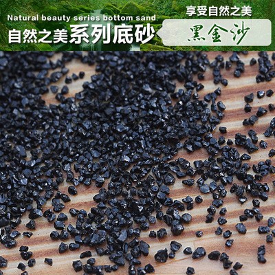 廈門市同安區葉珍美水族館