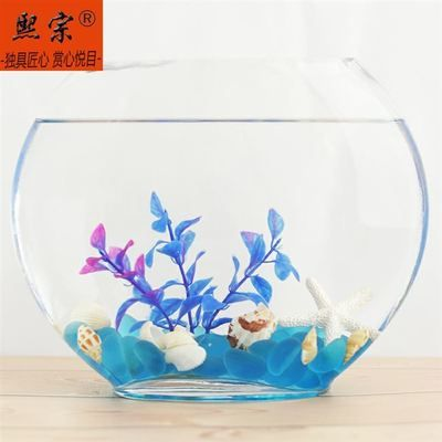 扁的魚缸怎么造景好看視頻：扁形魚缸造景教程