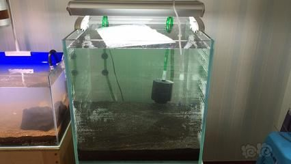 森森603前置適合多大的缸：森森603前置過(guò)濾桶適合放置在60cm以內(nèi)的魚(yú)缸中