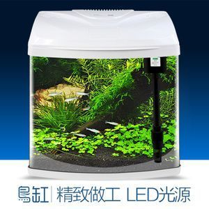 牡丹江市西安區翔麒錦鯉水族館（牡丹江市西安區翔麒錦鯉水族館電話）