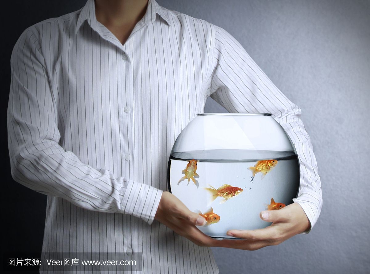 玻璃魚缸會議是什么：玻璃魚缸會議是一種怎樣的存在？
