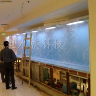 超白玻璃魚缸好不好養活：超白玻璃魚缸如何選購