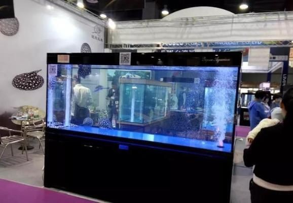 超白玻璃魚缸好不好養活：超白玻璃魚缸如何選購
