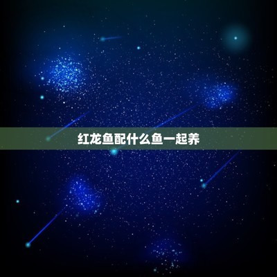 紅龍最佳5種配魚圖