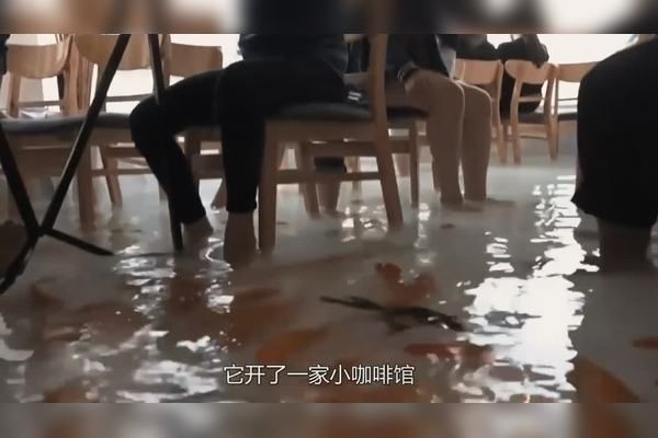 帶我去魚缸咖啡店英語怎么寫：全球特色咖啡館探秘