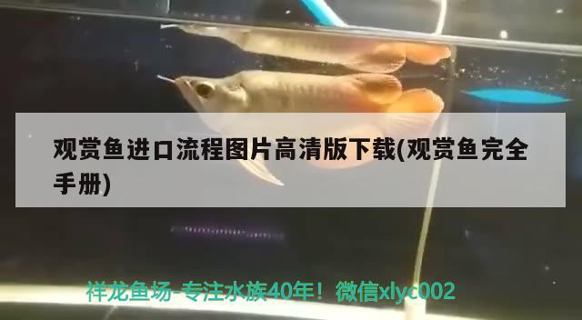 黑色后背有刺是什么魚？，海南三亞黑色后背帶刺的魚背上有刺的魚是什么魚 黑色后背有刺是什么魚？，海南三亞黑色后背帶刺的魚背上有刺的魚是什么魚 魟魚百科 第3張