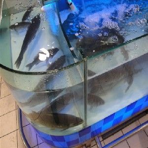 超市魚缸制作視頻教學(xué)全集：如何制作超市魚缸