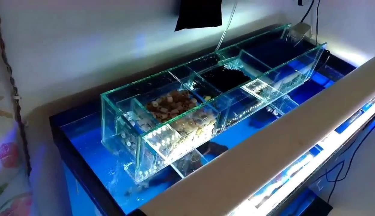 超市魚缸制作視頻教學(xué)全集：如何制作超市魚缸