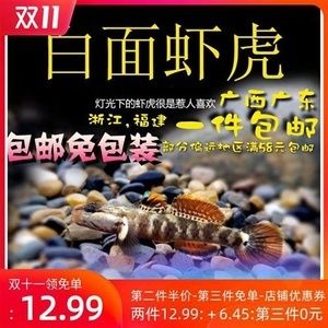 白面蝦虎魚是冷水魚嗎：白面蝦虎魚是冷水魚的一種
