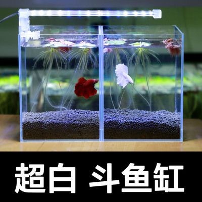 斗魚缸設(shè)計圖：斗魚缸的設(shè)計圖