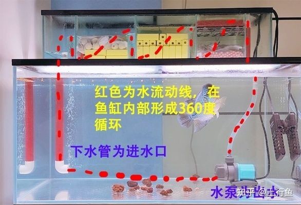 大型圓柱形魚缸進水口：關于大型圓柱形魚缸的相關信息