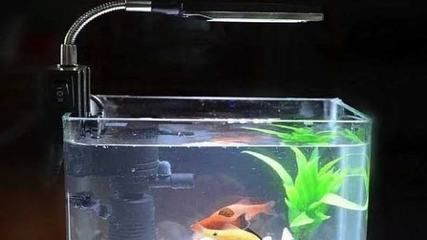 多長時間魚缸的水全換