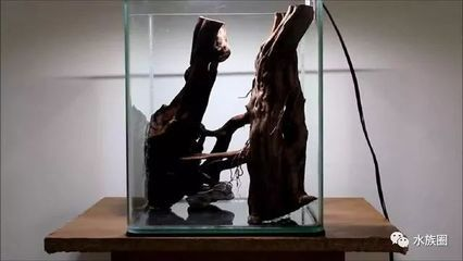 玻璃魚缸造景方法：玻璃魚缸造景步驟與步驟造景素材與步驟造景素材