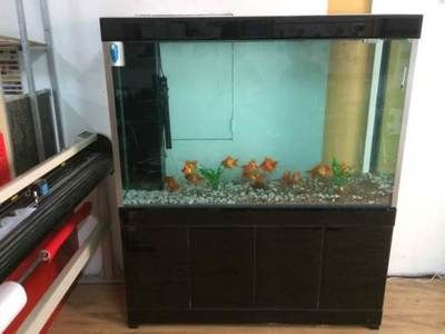 崇州哪里有賣魚缸的市場啊多少錢：四川崇州魚缸價格