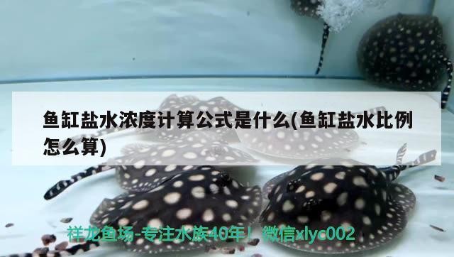 魚缸鹽水濃度計算公式是什么(魚缸鹽水比例怎么算) 魚缸鹽水濃度計算公式是什么(魚缸鹽水比例怎么算) 魟魚百科