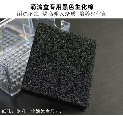 把濾材放進魚缸里面：如何正確放置魚缸濾材