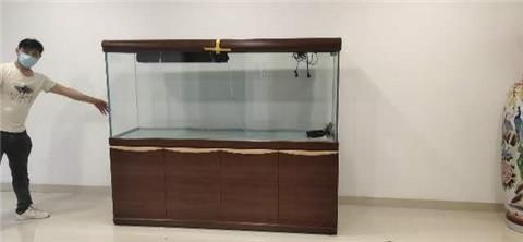 搬家公司搬魚缸多少錢一個月呢：搬家公司搬魚缸收費標準