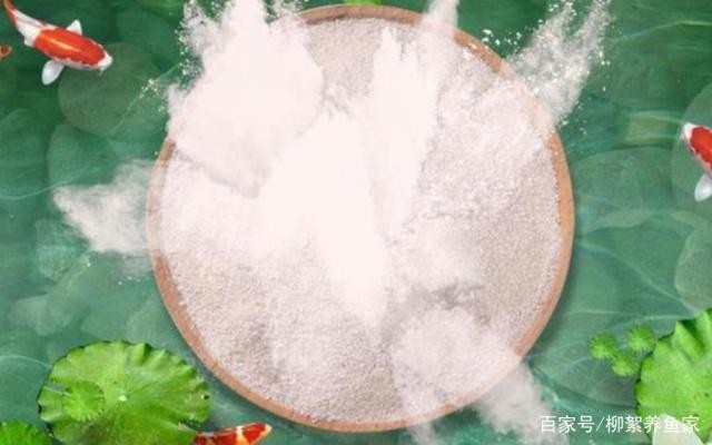 魚缸污染后應怎樣消毒殺菌（魚缸污染后應怎樣消毒殺菌呢）