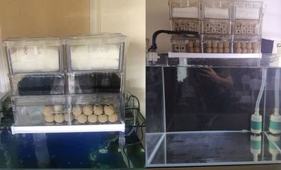 家用魚缸循環水過濾系統需要放水嗎，如何建立生物過濾系統魚缸換水的最佳時間過濾棉清潔技巧