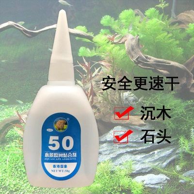 補魚缸用什么膠水好：如何選擇魚缸專用膠