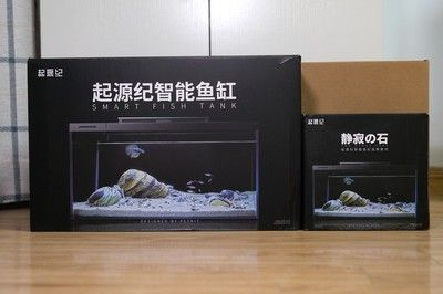 包裝一個魚缸大概需要多少錢費用：包裝一個魚缸的費用并沒有直接給出，但是可以從相關費用中進行推測