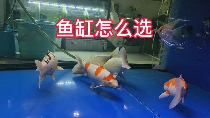 黃驊市海洋星水族館（黃驊市海洋星水族館電話）